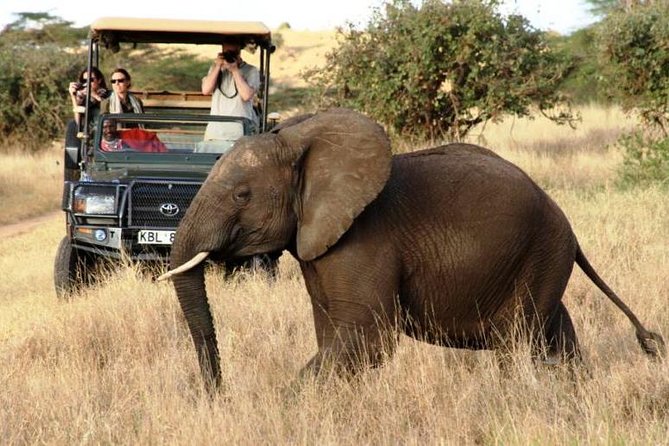 5 Days Kenya Masai Mara and Lake Nakuru Private Tour - Booking Information