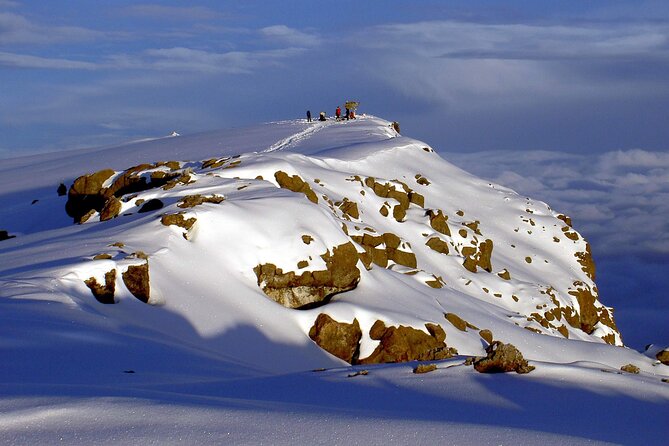5 Days Marangu Route Kilimanjaro Hiking - Traveler Experiences and Reviews