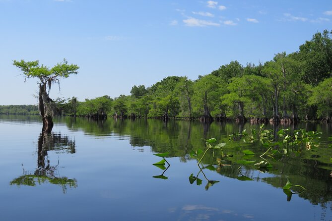 5 Hours Lake Norris Kayak Activity With Lunch - Tips for a Great Kayaking Adventure
