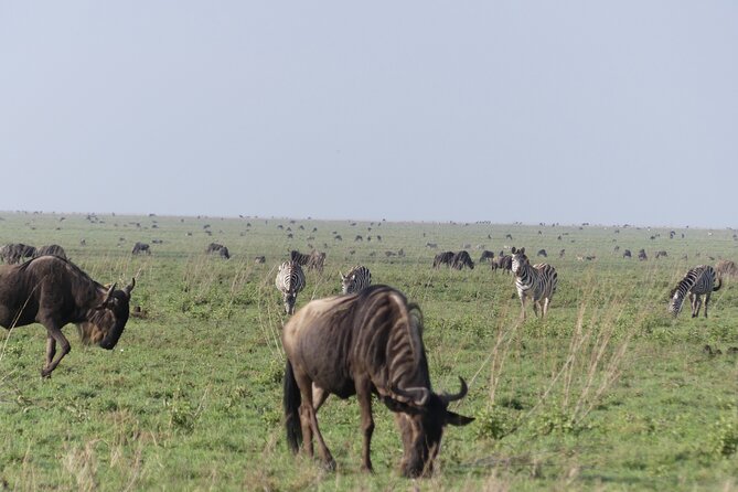 6-Day Northern Safari - Tips for a Great Experience