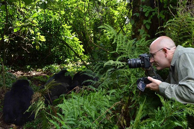 6 Days Chimps, Gorillas & Murchison Falls Africas Big Five Experience Safari - Frequently Asked Questions
