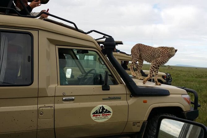 6 Days Tanzania Budget Camping Safari - Booking and Pricing Information