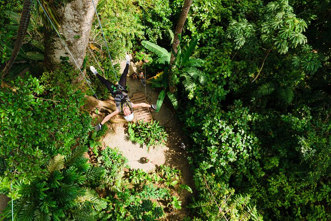 60M Tree Climbing Experience With Descent in Tarzan or Rapel - Booking and Accessibility