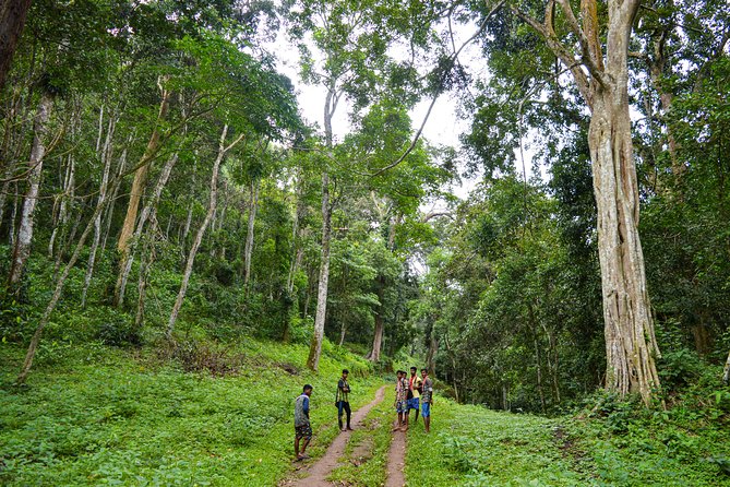7 Days Kerala Tour- Munnar, Periyar, Houseboat & Varkala Beach - Tips for Travelers