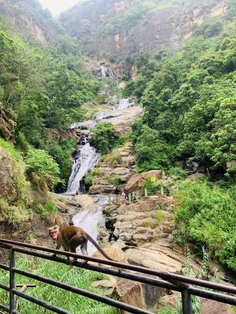 7 Days Round Tour in Sri Lanka - Kandy City and Cultural Dance
