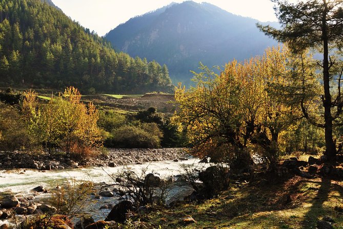 7 Days Thimphu Paro Punakha - Bhutan Culture Tour - Tips for Travelers