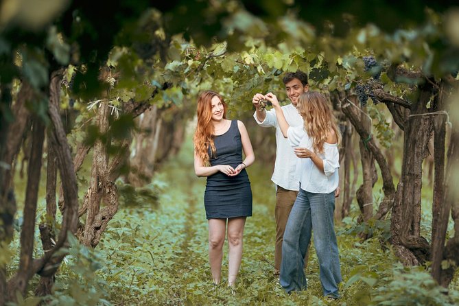 8 Days Small Group Food & Wine Tour of Sicily (Max 8 Guests) - Discover Sicilys Culinary Culture