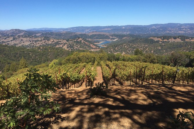 8-Hour Exclusive Wine Tour Experience for up to 6 Guests / Napa-Sonoma - Booking Information