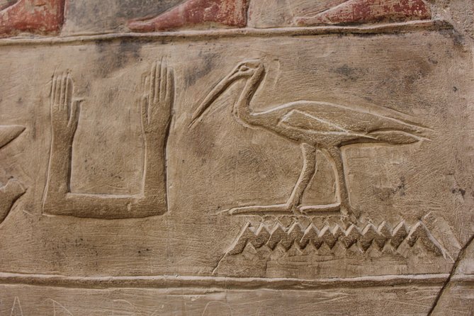 8-Hour Private Tour to Giza Pyramids, Memphis and Sakkara - Customer Testimonials and Reviews