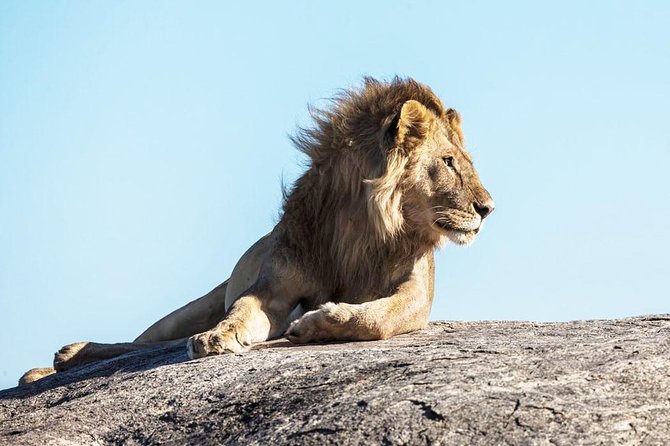 9-Day Serengeti Migration Footsteps Tanzania Safari - Responsible Tourism Practices