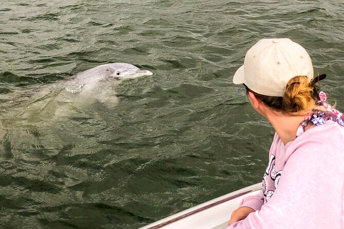 90 Minute Hilton Head Dolphin and Nature Cruise - Tips for a Great Experience