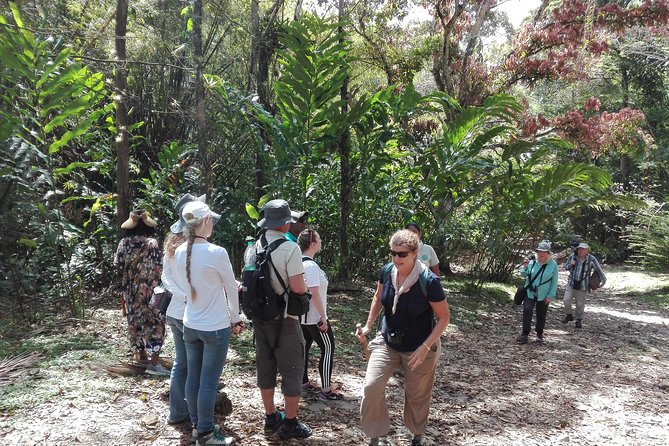 A Day at the Asa Wright Nature Center - Pricing and Booking