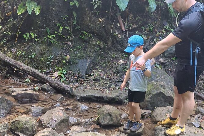 A Day of Relaxation in the Jungle and Waterfalls of Dominica - Enjoying the Waterfalls