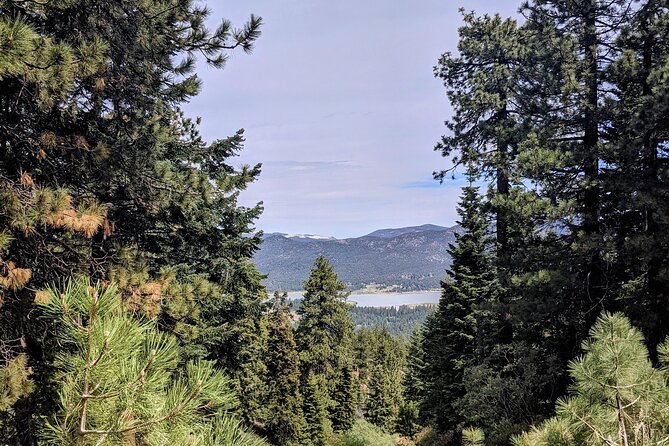 A Locals Favorite Hike in Big Bear With Lake Swimming Experience - Experience Highlights