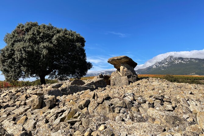A Sip-By-Sip Tour of 3 Boutique Rioja Family Wineries (Private Tour With Lunch) - Booking Information