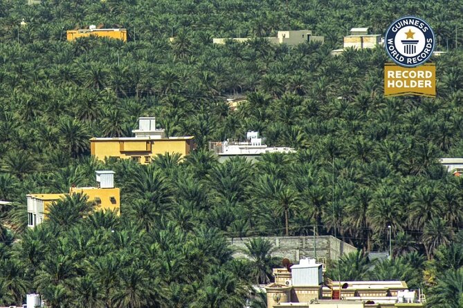 A Tour in Al Ahsa the Largest Oasis in the World - Experiencing the Tour as a Group