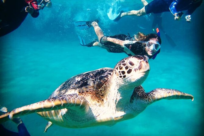Abu Dabbab Beach Full Day Trip With Turtles - Additional Tips for Travelers