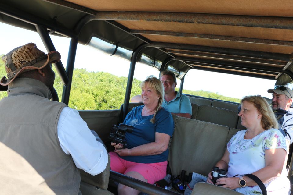 Addo Elephant National Park Game Drive Day Tour With Lunch - Customer Feedback and Ratings