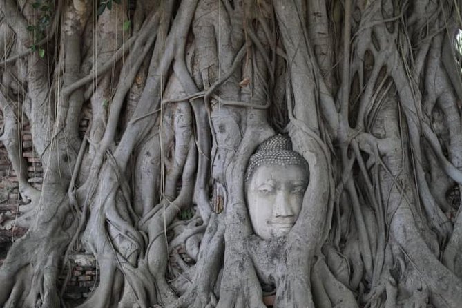 Afternoon Ayutthaya & Ancient Temples at UNESCO Site by Road - Practical Tour Information