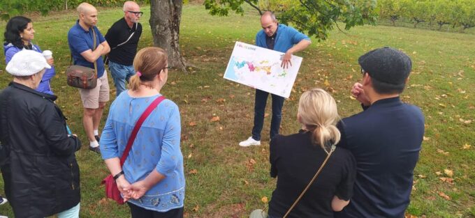 Afternoon- Wine Tour in Touraine From Tours or Amboise - Inclusions and Exclusions