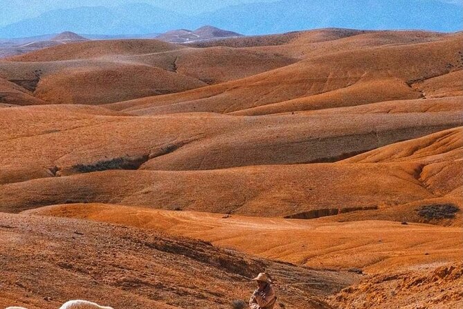 Agafay Desert: Dinner + Show With Quad Bike & Sunset Camel Ride - Tips for Your Trip