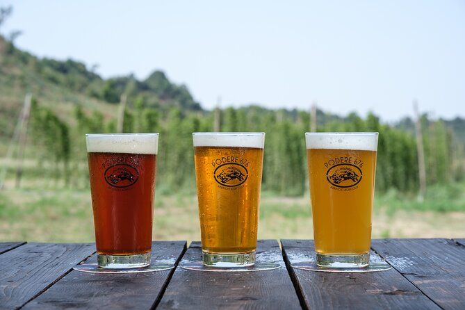Agricultural Brewery Tour in the Roman Countryside - Tour Experience