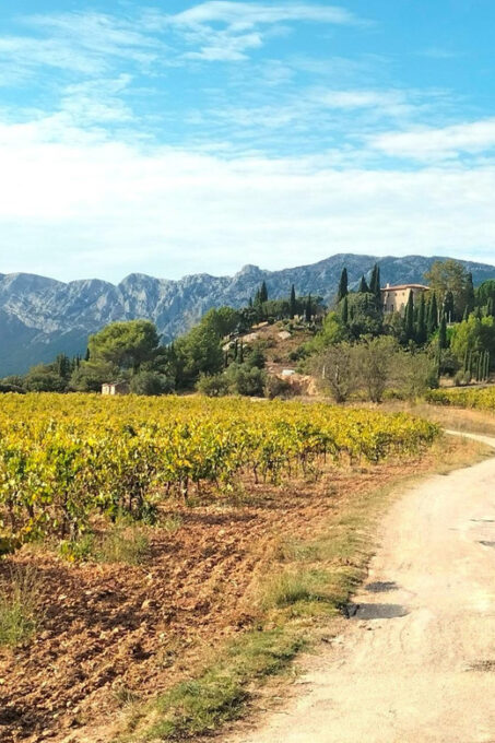 Aix & Marseille: Well-being Day: Nature, Yoga, Picnic & Wine - Relaxing Garden Retreat