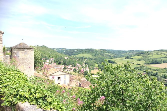 Albi and Cordes Sur Ciel Private Day Tour From Toulouse - Customer Support and Additional Details