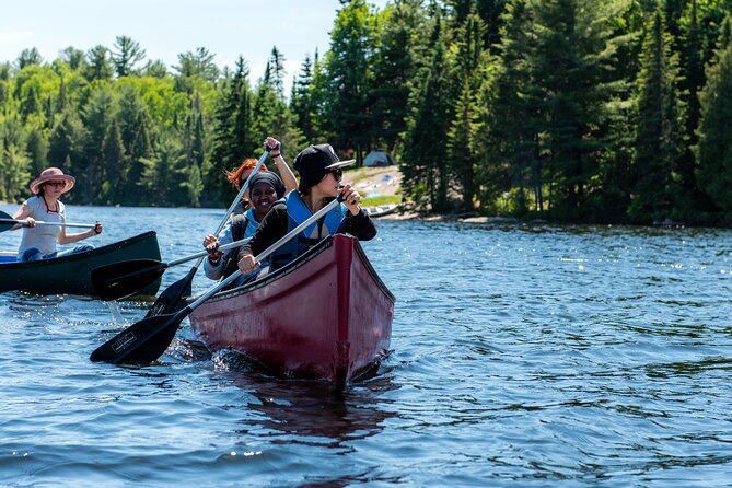 Algonquin Park Luxury 3-Day Camping & Canoeing: Moose/Beaver/Turtle Adventure - Feedback and Management Response