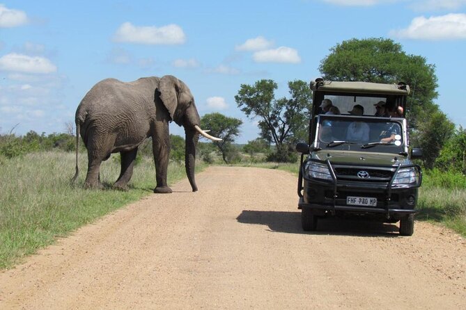 All Inclusive 2 Day Kruger Safari From Johannesburg - How to Prepare for Your Safari