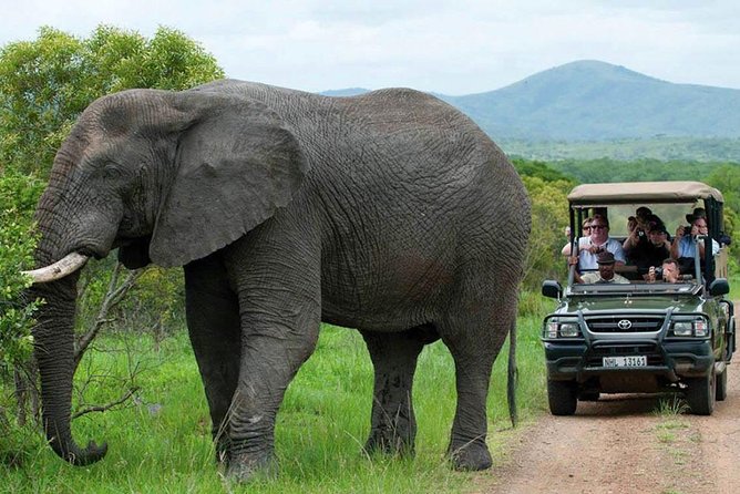 All Inclusive 3 Day Kruger Safari Adventure From Johannesburg - Special Features and Offers