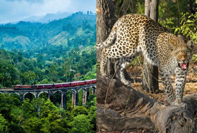 All Inclusive Ella Scenic Train Journey With Yala Safari - Dietary Accommodations