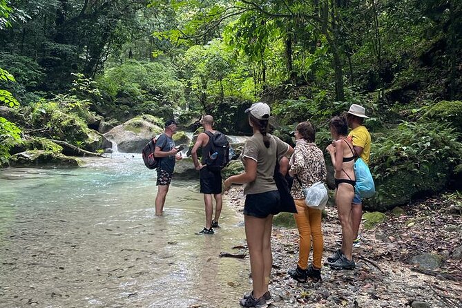 ALL INCLUSIVE Tour Through the Water Trail La Plaza - Tour Highlights