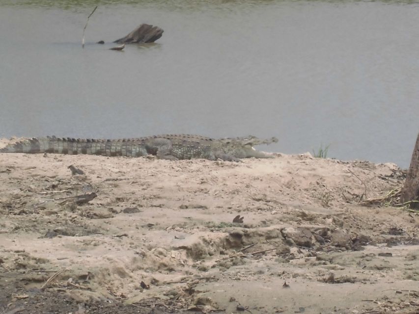 All Inclussive Udawalawa National Park Safari From Colombo - Elephant Transit Home