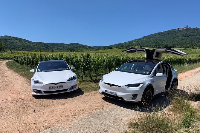 Alsace Private Tailored Tour in a Tesla With a Local - Booking and Inquiries