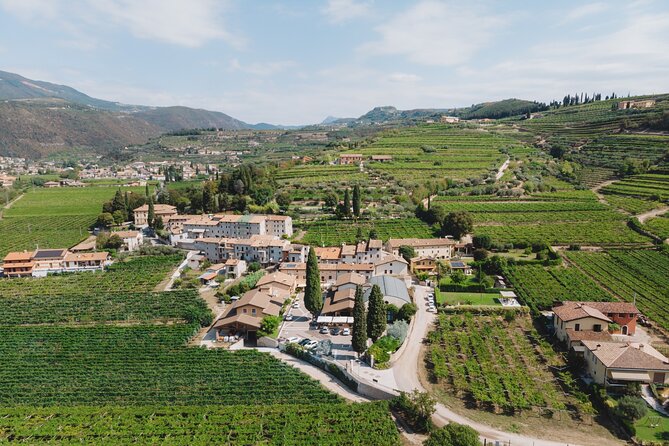 Amarone 2005 Wine Experience - Additional Experience Details