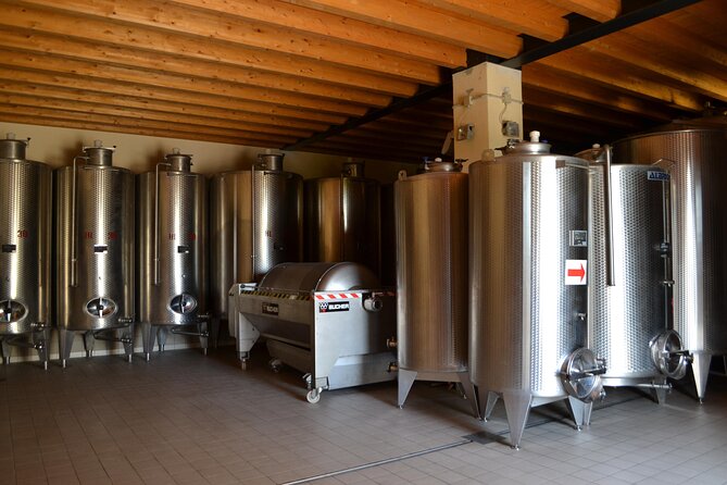 Amarone Della Valpolicella Wine Experience - Meet the Vogadori Family - The Passionate Vogadori Hosts