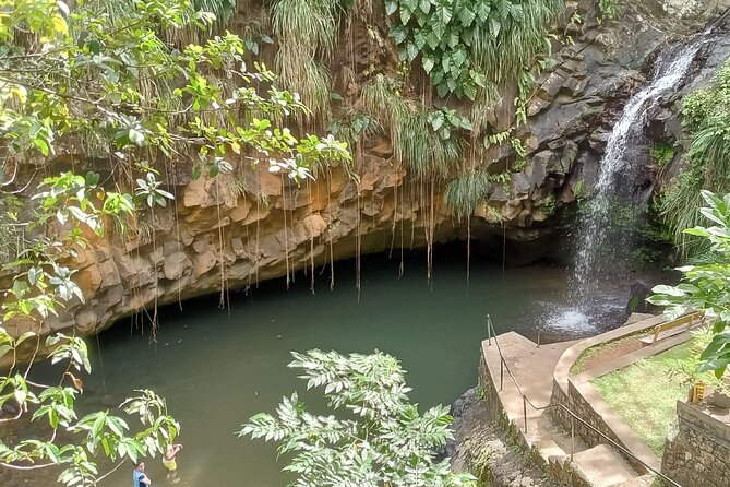 Annandale Waterfall & Forest Park - Tour Pricing and Booking