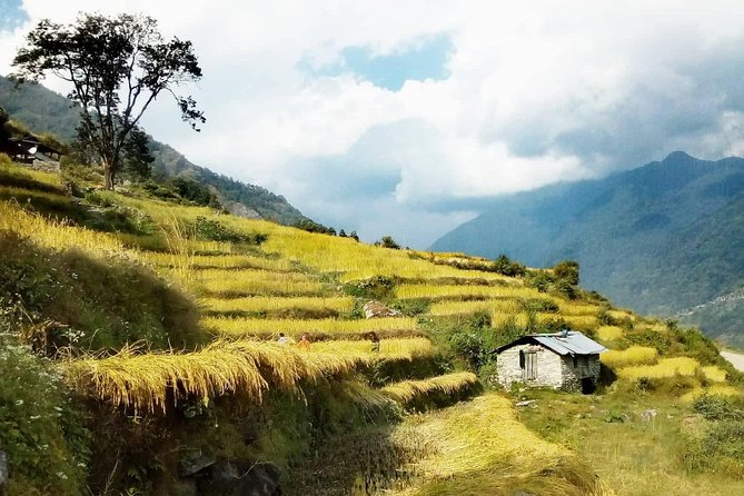 Annapurna Circuit Trekking -17 Days - Reviews and Customer Feedback