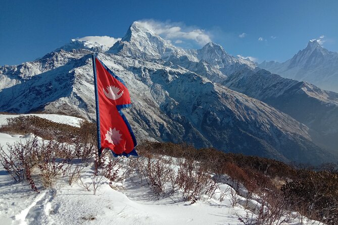 Annapurna View Trek - Testimonials and Reviews