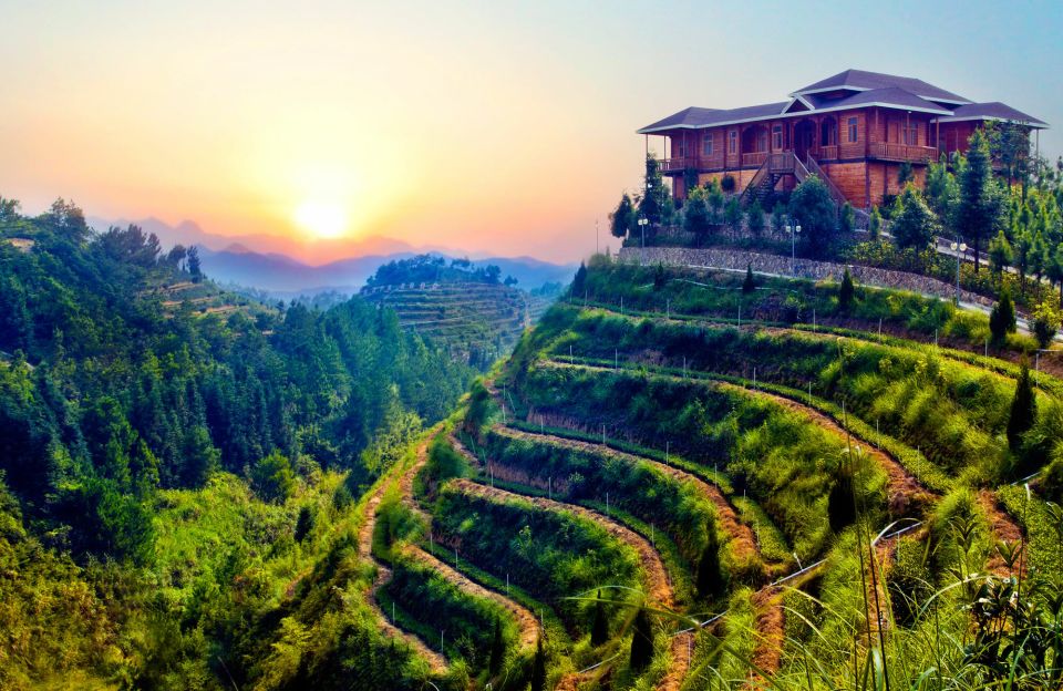 Anxi Tea Garden and Hong'En Rock From Xiamen - Seasonal Tea Picking and Production