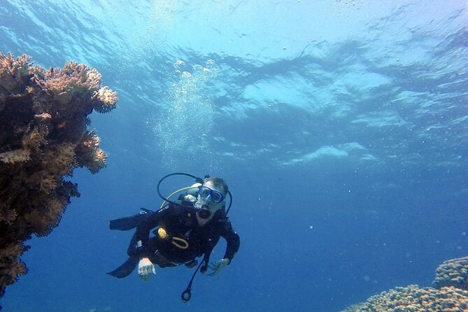 Aqaba Private Scuba Diving Activity With Pick up - Pricing and Booking Details