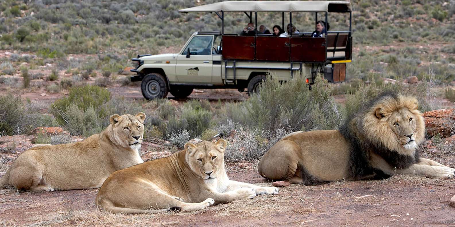 Aquila Reserve Safari With Lunch & Wine Tasting - Booking and Availability