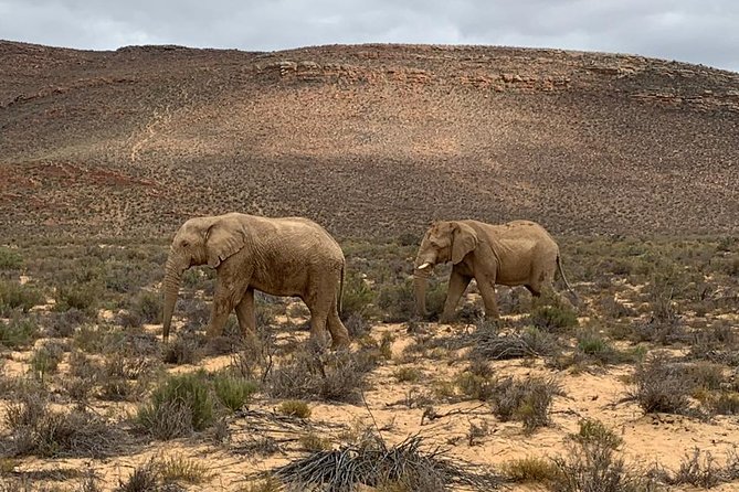Aquilla BIG5 Private Safari Cape Town - Why Choose Aquilla BIG5 Private Safari