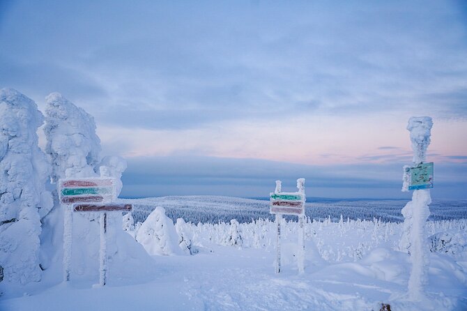 Arctic Adventure Through Magical Frozen Forests of Riisitunturi - Preparing for the Journey