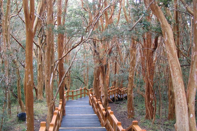 Arrayanes Forest With Victoria Island - Booking and Cancellation Policies