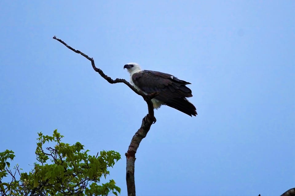 Arugambay :Pottuvil Lagoon Boat Safari Eco Tours - Tour Booking and Cancellation