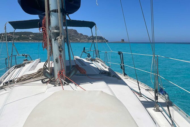Asinara Full Day Sailboat Tour From Stintino - The Sum Up