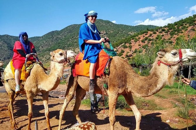 Atlas Mountains and Berber Villages Day Trip From Marrakech With Lunch - Important Trip Information