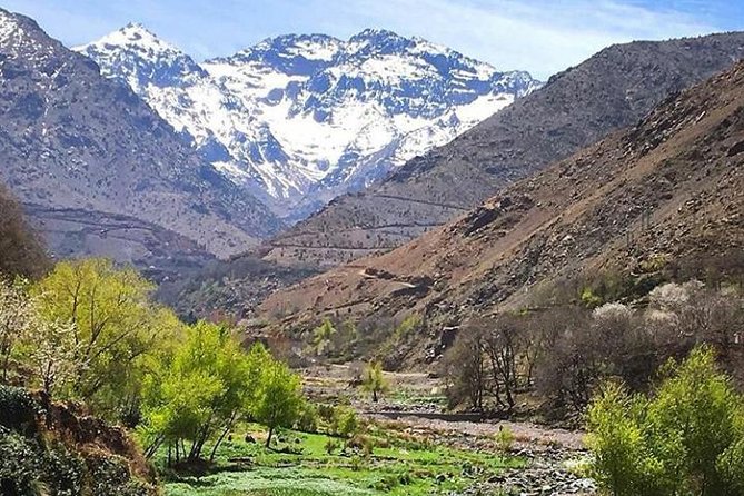 Atlas Mountains Day Trip With Camel Ride From Marrakech Including Lunch - Booking and Reviews